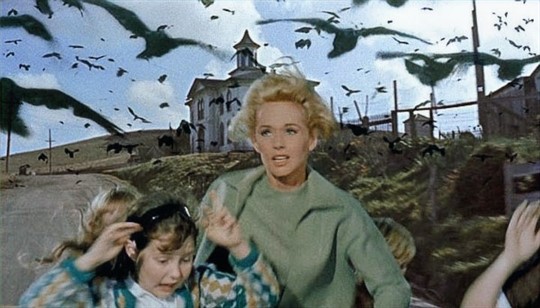 THE BIRDS in 35mm