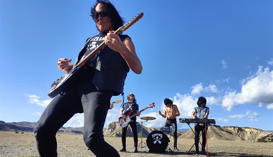 THE FUZZTONES VS. THE WORLD