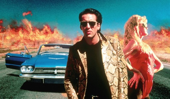 WILD AT HEART