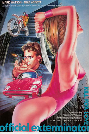 Ninja Brothers Of Blood (DVD-R) Poster
