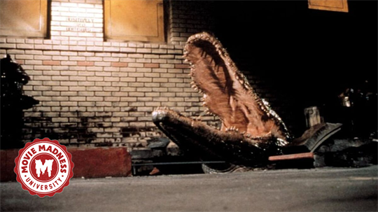 MMU Crash Course: Animal Attack!